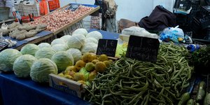 agrotika