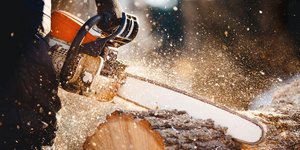Αλυσοπρίονο / Shutterstock
