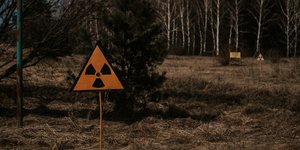 Ένδειξη ραδιενέργειας σε δάσος της περιοχής του Τσερνόμπιλ