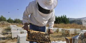 Φωτογραφία αρχείου