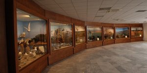 Μουσείο φυσικής ιστορίας στις Σέρρες 