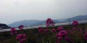 καιρός, αφρικανική σκόνη 