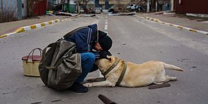 Ουκρανία, Αντρας παρηγορεί σκύλο