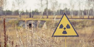 Ένδειξη ραδιενέργειας στο Κόκκινο Δάσος του Τσερνόμπιλ