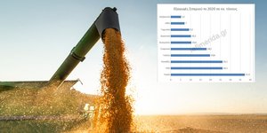 Τα συμπεράσματα της μελέτης του Πολυτεχνείου Κρήτης στο iefimerida.gr