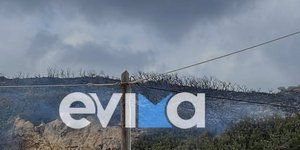 Μεγάλη πυρκαγιά στη Σκύρο