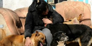 Ουκρανοί φιλόζωοι αρνούνται να εγκαταλείψουν τα αδέσποτα στα καταφύγια