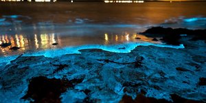 παραλία που φωσφορίζει