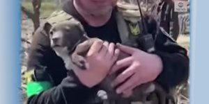 Διάσωση κουταβιού από τα ερείπια του πολέμου στην Ουκρανία