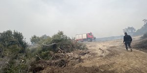 Υπό μερικό έλεγχο τέθηκε η φωτιά που ξέσπασε το μεσημέρι της Τρίτης (5/4) στη Ρόδο