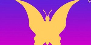 Κάποιοι εντοπίζουν αμέσως την πεταλούδα, ενώ άλλοι βλέπουν δύο πρόσωπα σε αυτή την οπτική ψευδαίσθηση