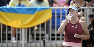 Ελίνα Σβιτολίνα