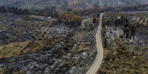 Τα αποτελέσματα της καταστροφικής πυρκαγιάς του Αυγούστου του 2022 στη Βόρεια Εύβοια