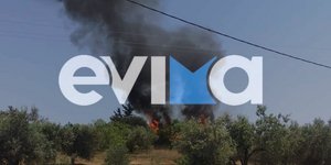 Φωτιά κοντά στην Ερέτρια Εύβοιας