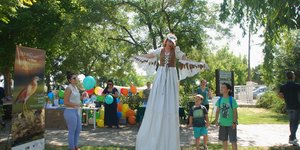  5o Φεστιβάλ Περιβαλλοντικού Παιχνιδιού 