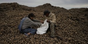 Ουκρανοί καλλιεργούν πατάτες, στα προάστια του Κιέβου, ενώ όχι μακριά από αυτούς, μαίνονται οι μάχες