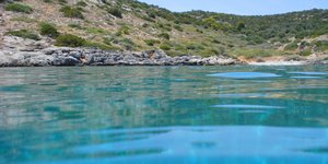 Πεταλιοί Ευβοίας