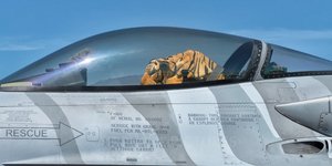Η... τίγρης στη σημαντικό άσκηση Tiger Meet