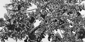 Η νέα γκαλερί ΕΓΙΝΕ AΙΓΙΝΑ @Αthens