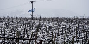 ΥΠΑΑΤ ΕΛΓΑ παγετός 