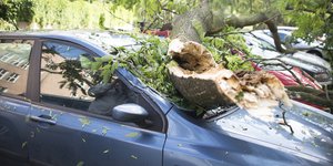 πεσμένα δέντρα σε αυτοκίνητα προκαλούν ζημιές