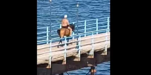 Φθιώτιδα Άγιος Κωνσταντίνος μπάνιο άλογο άνδρας