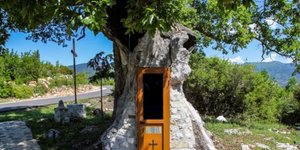 Η κρυμμένη Δεντροκκλησιά του Αγίου Παϊσιου