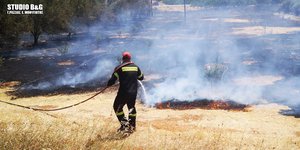 Πυρκαγιά σε γεωργική έκταση στην Αργολίδα
