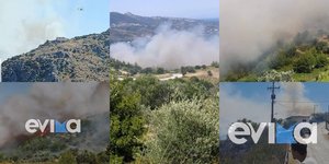 Φωτιά στον Κρεμαστό Εύβοιας