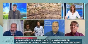 Φωτιά στη Γλυφάδα, ο εκπρόσωπος του ΔΕΔΔΗΕ κατηγόρησε ένα... πουλί