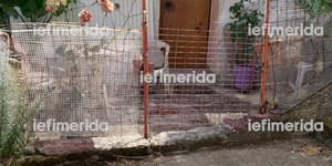 Το σπίτι στου Γκύζη όπου βρέθηκε νεκρή η 62χρονη