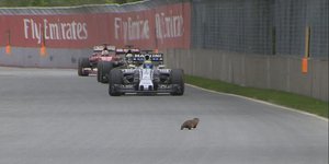 Formula 1 