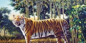 Μπορείτε να βρείτε την κρυμμένη τίγρη σ' αυτήν την οπτική ψευδαίσθηση