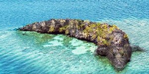 Τι βλέπετε σ' αυτήν την οπτική ψευδαίσθηση