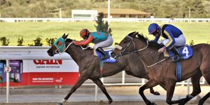 Η δράση κορυφώνεται στο πρόγραμμα των ελληνικών ιπποδρομιών