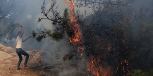 Πυρκαγιά σε πευκοδάσος στον Λίβανο
