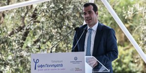 ο θάνος πλεύρης