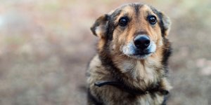 Φωτογραφία αρχείου