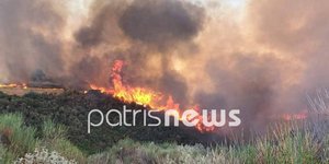 Φωτιά στα Άγναντα Ηλείας