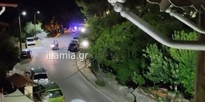 Η αστυνομία επενέβη για να... διώξει τα αγριογούρουνα
