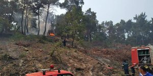 Φωτιά τώρα, αναζωπύρωση στο δάσος της Δαδιάς