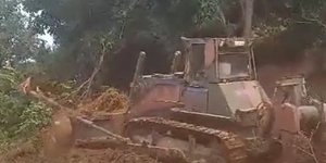 Ο στρατός ανοίγει αντιπυρικές ζώνες στο δάσος της Δαδιάς