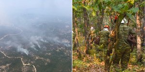 Οι επιχειρήσεις κατάσβεσης στη Δαδιά στον Εβρο