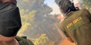 Διώνη: Η Δασική Υπηρεσία δημιουργεί ζώνες ασφαλείας γύρω από τα σπίτια