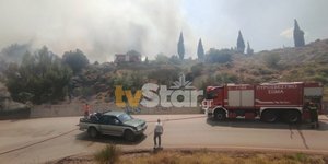 Συνεχίζεται η «μάχη» για τον έλεγχο της φωτιάς στο Δίστομο