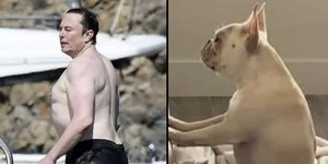 Το meme για το σώμα του Έλον Μασκ και η απάντηση του ίδιου