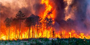 Φωτιά στη Γαλλία εν μέσω καύσωνα 