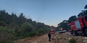 Φωτιά στο Σουφλί: Περίμετρο στήνουν γύρο από το δάσος της Δαδιάς πυροσβεστική και στρατός
