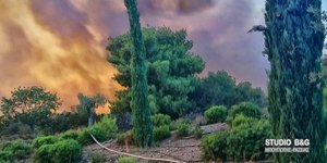 Φωτιά στο Κρανίδι