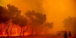 Φωτιά στα Βατέρα Λέσβου